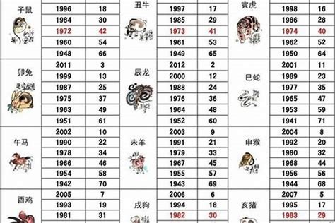 1996年属|1996出生属什么生肖查询，1996多大年龄，1996今年几岁